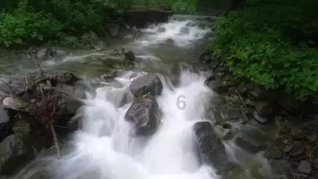 口袋觉醒后台